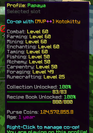 1751224252601.png