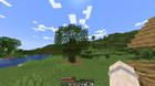 Can we no longer force the oak sapling to grow into a big oak tree? Is it a bug?