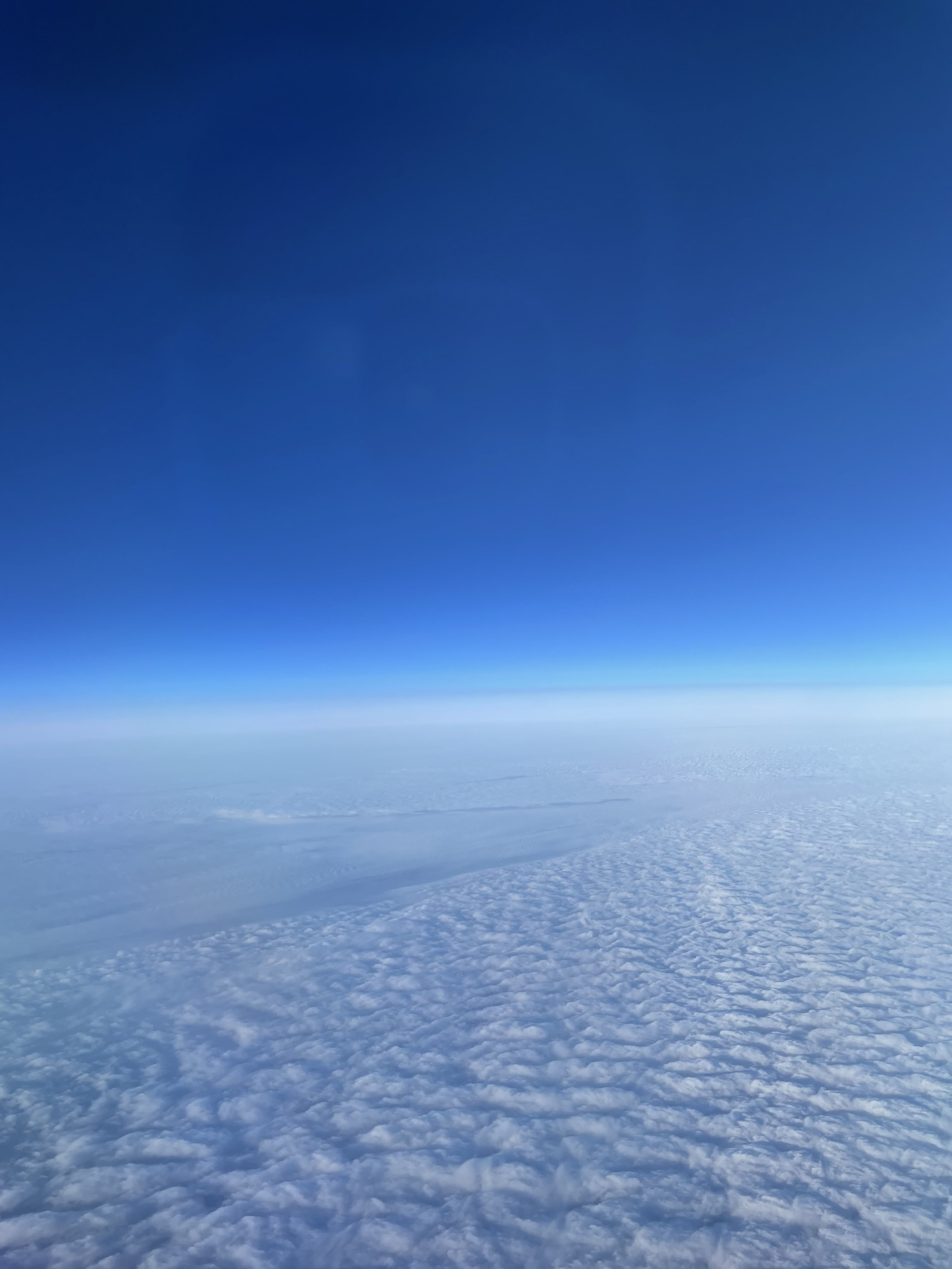 29B51969-9DFC-40CB-A3D7-14815DDFA25B.jpeg