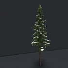 One of my best trees yet - heavily Bdubs inspired. What do you all think?