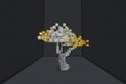 Colourful Tree Collection + Want Advice