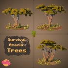 Survival Acacia Trees