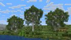 Riverside Trees