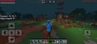 my survival world 🤎