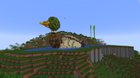 Quack Quack!