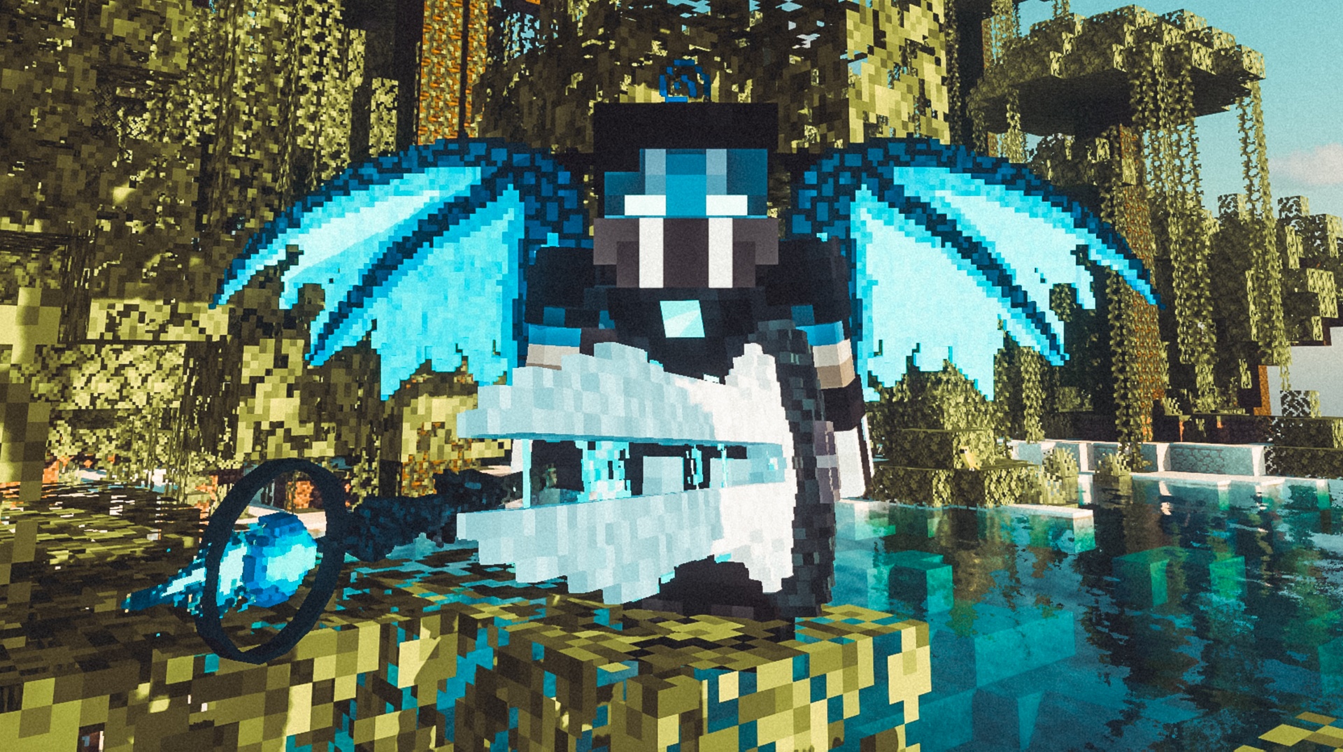 [IMG]