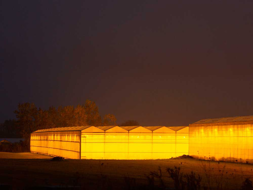 greenhouse1.jpeg