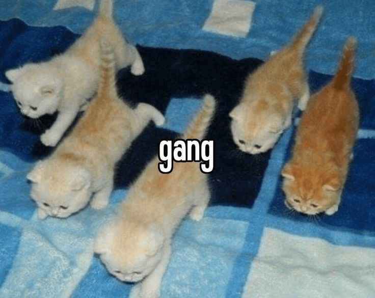 1000001859.jpg