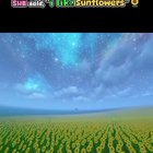 Please help me find the minecraft shader of this